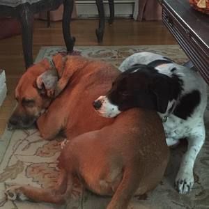 Meet your Posher, Lori